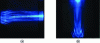 Figure 4 - Photographs of sonochemical luminescence from a luminol solution: (a) at 472 kHz (ultrasonic source on the side) and (b) at 422 kHz (ultrasonic source on the bottom) (after reference [9]).