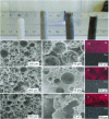 Figure 12 - a) Observation of catalysts at large scales, copper content increases from left to right: Si(HIPE) without Cu, MUB-103(1), MUB-103(2) and MUB-103(3); SEM images of the material: b-c) MUB-103(1), d-e) MUB-103(2), f-g) MUB-103(3); EDX images depicting the distribution of Si and Co atoms: h) MUB-103(1), i) MUB-103(2), j) MUB-103(3) (image reconstructed from reference [23])