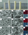 Figure 16 - a) Observation of the morphological and textural characteristics of the catalysts obtained, from left to right: Si(HIPE) without WO3, MUB-104(1), MUB-104(2) and MUB-104(3); SEM images at different scales of the macropores: b-c) MUB-104(1), d-e) MUB-104(2), f-g) MUB-104(3); EDX images qualitatively expressing Si and W contents: h) MUB-104(1), i) MUB-104(2) and j) MUB-104(3) (ACS Copyright 2023 [25])