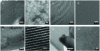 Figure 9 - Observation of mesoporosities by transmission electron microscope (TEM) for different SBA15-Si(HIPE) where the salt concentration (NH4)2SO4 varies: a-b) 0.1 M; c-d) 0.5 M; e-f) 1.0 M; g-h) 2.0 M (ACS Copyright 2018 [25])