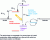 Figure 11 - Schematic
diagram of a nanocrystalline dye-sensitized photovoltaic cell.