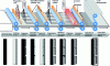 Figure 14 - Continuous process for manufacturing nanocrystalline dye cells