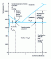 Figure 10 - Equilibrium transformations of a 0.4% C steel and a 1.6% C steel