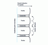 Figure 14 - Diagram of the growth of lamellar perlite islands