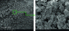 Figure 1 - SEM observation of the surface of soap-coated samples after annealing under nitrogen