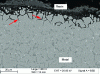 Figure 10 - Internal oxidation (example on an AISI 330Cb alloy) observed by SEM