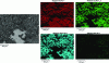 Figure 16 - Pollution of a heat treatment muffle (EDS probe analysis)