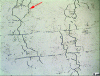 Figure 19 - Fragilization by liquid copper – Optical microscope observation