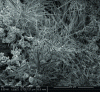 Figure 5 - Oxides formed on the surface after passing through the quenching furnace