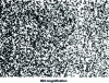 Figure 2 - Optimum annealing structure of X37CrMoV5-1 steel for use properties after heat treatment