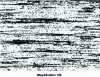 Figure 3 - Annealing structure of HS6-5-2 high-speed steel for a small (150 kg), highly wrought ingot (rate 11)