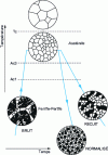 Figure 3 - Evolution of the ferrito-pearlitic structure during normalization or annealing of non- or low-alloy steel castings