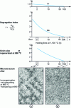 Figure 30 - Effect of homogenization treatment on dendritic segregation and structure after quenching and tempering of a 30 mm thick G35CrMo4 steel part [38]