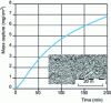 Figure 17 - Evolution of the mass setting curve and microstructure of a 13%Cr-2.5%Ni-2%Mo alloy treated at 950°C