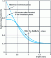 Figure 33 - Carbon mass fraction profiles after enrichment and diffusion phases