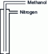 Figure 8 - Schematic diagram of a nitrogen and methanol canne