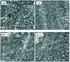 Figure 16 - Surface appearance as seen by SEM after different treatments N (nitriding), NC (nitrocarburizing), N-O (post-oxidized nitriding), NC + O (nitrocarburizing + post-oxidation) on 42CrMo4 steel.