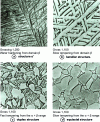 Figure 9 - Examples of morphologies found in TA6V alloy