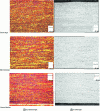 Figure 11 - Microstructures of Zircaloy-4 blanks after spinning at 600°C