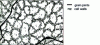 Figure 8 - Diagram of a cell structure