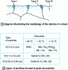 Figure 10 - Diagram illustrating the metallurgy of sheet metal dermis, after long-term annealing in a reducing atmosphere for iron, after G. Béranger and J.-C. Charbonnier [21]