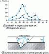 Figure 14 - Evolution of intergranular groove length and depth as a function of the disorientation of two adjacent grains, from L. Beaunier, quoted by G. Béranger and F. Dabosi. Dabosi [15]