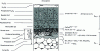 Figure 3 - Schematic cross-section of reheating scale and underlying–metal on a medium-hard steel billet (after [3]).