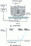 Figure 3 - Hydrogen permeation test