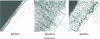 Figure 5 - Effect of silicon on the structure of galvanized coatings (Atlas Métallographique du CRM)