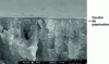 Figure 4 - Cross-section of a first-generation CrIII passivation on zinc