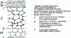 Figure 9 - Structure of a steel Beilby layer [20]