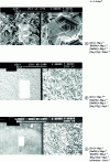 Figure 14 - Surface morphologies of zinc coatings made from alkaline electrolytes (attachment process) [21]