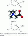 Figure 1 - Chemical structure of betaines used in cyanide-alkaline copper electrolytes