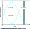 Figure 2 - Distribution of anionic cuprocyanide complexes as a function of excess free cyanide (CN-)