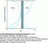 Figure 3 - Relative distribution of hydrogen carbonate and carbonate anions in an alkaline electrolyte as a function of pH