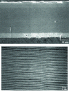 Figure 5 - Aspects of Cr-Ni multilayer deposits by SEM examination of sections at different magnifications