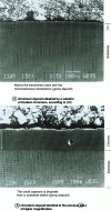 Figure 19 - Thick, hard chromium deposits obtained from trivalent chromium