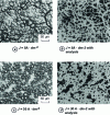 Figure 19 - Surface morphology of Ni-P-TiO2 composite coatings 