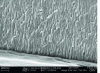 Figure 14 - Microfractography of a sulfuric-tartaric layer on 1050-plated 2024