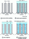 Figure 21 - Mechanism for sealing an anodic layer with boiling water