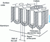 Figure 4 - Unclogged porous layer