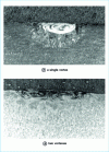Figure 7 - Highlighting movements in the liquid bath. The two photos show different energy distributions within the incident beam, inducing a single vortex or two vortexes (the material treated is a titanium alloy).