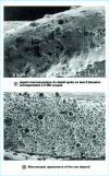 Figure 10 - Abrasion test resistance of the deposit shown in Fig. 