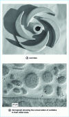 Figure 12 - Example of the hardfacing of tungsten carbide particles in a nickel matrix: the case of a pump turbine (Technogénia document).