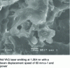 Figure 19 - Spongy structure created after laser irradiation on a polyethylene substrate [44].