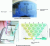 Figure 9 - Photolithography molds for microfluidic circuits