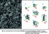 Figure 14 - Morphology of tantalum powder imaged (doc. MINES ParisTech, F. Delloro)