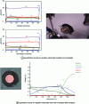 Figure 23 - Results on positive and negative electrodes