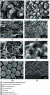 Figure 10 - Scanning electron microscopy images of textures leading to superhydrophobic or even superoleophobic behaviour
