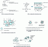 Figure 4 - Application strategies for PCI-based coatings